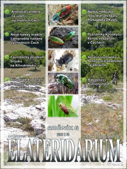 elateridarium 2012 9 m