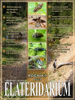 elateridarium 2013 10 m