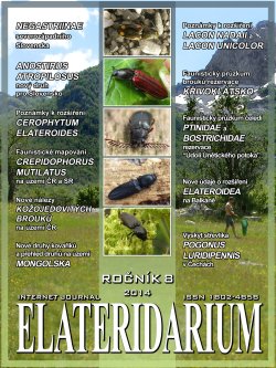 elateridarium 2014 11 m