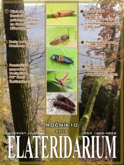 elateridarium 2016 14 m