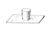 Krycí sklíčko na fixaci exempláře Krycí sklíčko na fixaci exempláře