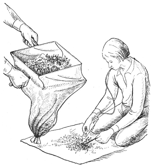 Example of using an aspirator during sieve analysis Example of using an aspirator during sieve analysis