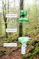 Nárazová past Nárazová past