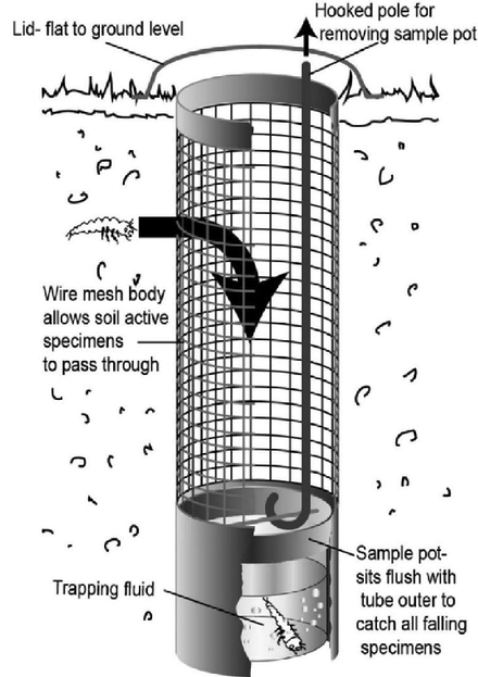 Underground trap - construction and principle of operation Underground trap - construction and principle of operation