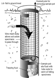Podzemní past - konstrukce a princip fungování Podzemní past - konstrukce a princip fungování