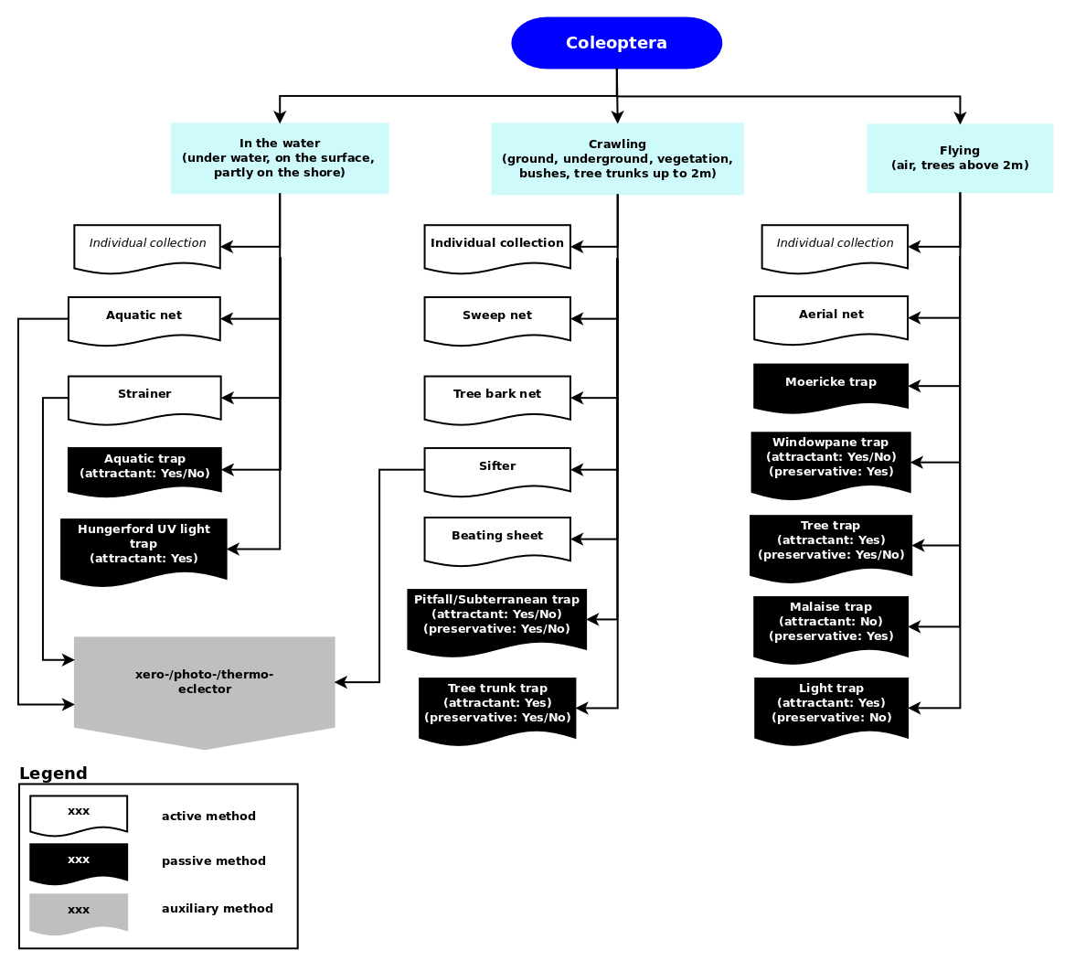 Methods of collecting beetles Methods of collecting beetles