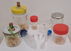 Příklady smrtiček