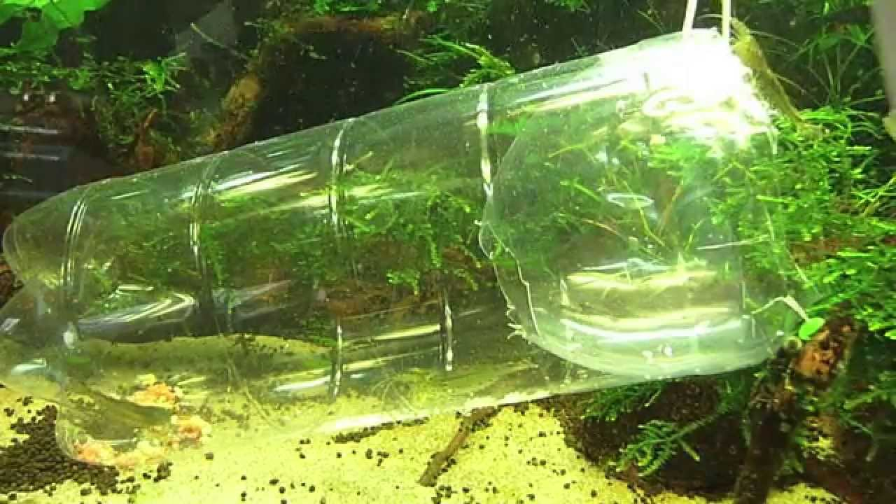 The Water Trap The Water Trap