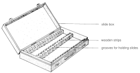 Box for microscopic specimens Box for microscopic specimens