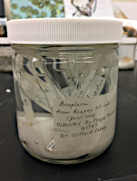 Examples of wet collection Examples of wet collection