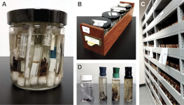 Examples from the wet collection Examples from the wet collection