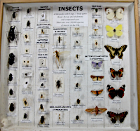 Ukázka krabice s popisnými štítky Ukázka krabice s popisnými štítky