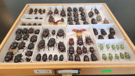 Unit systém Unit systém