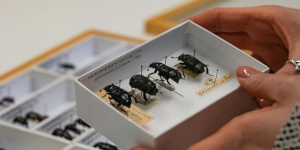 Unit systém Unit systém